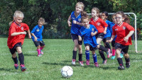 fotbal holky girls-5241164 1280